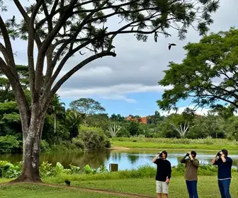 Descubra a Observação de Aves em Jaú: Um Paraíso para os Ornitólogos