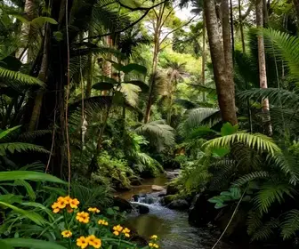 Descubra a RPPN Amadeu Botelho: um Paraíso Natural em Jaú – SP Descubra a RPPN Amadeu Botelho: um Paraíso Natural em Jaú - SP