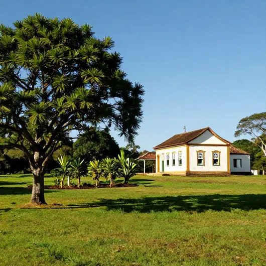Fazenda Mandaguahy