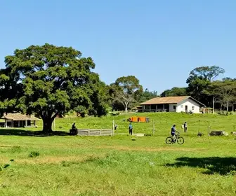 Guia de turismo rural em Jaú: 8 melhores opções